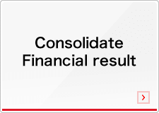 consolidate financial result