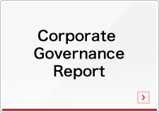 corporate governance report