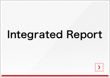 integrated report