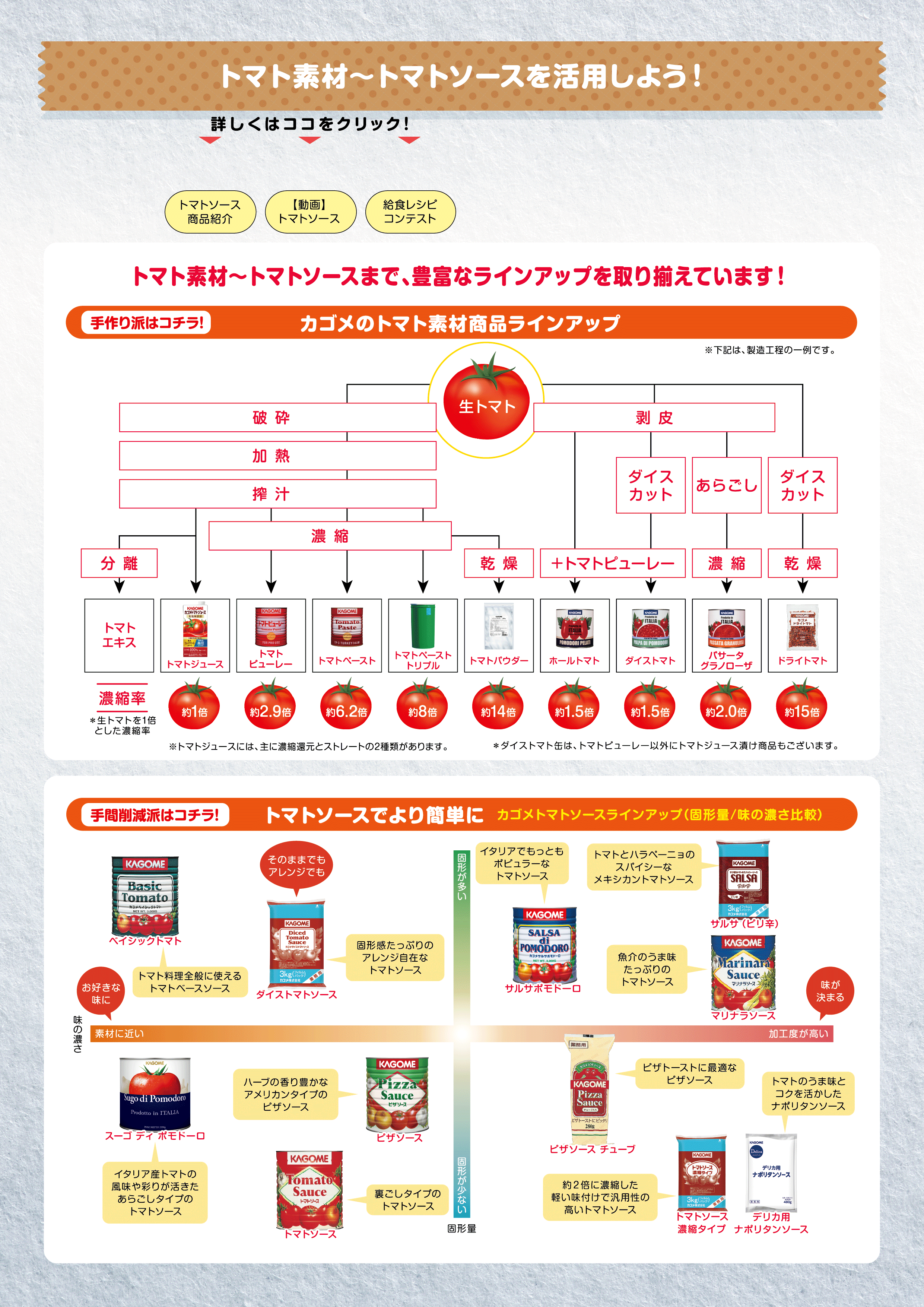 色々なトマト加工品
