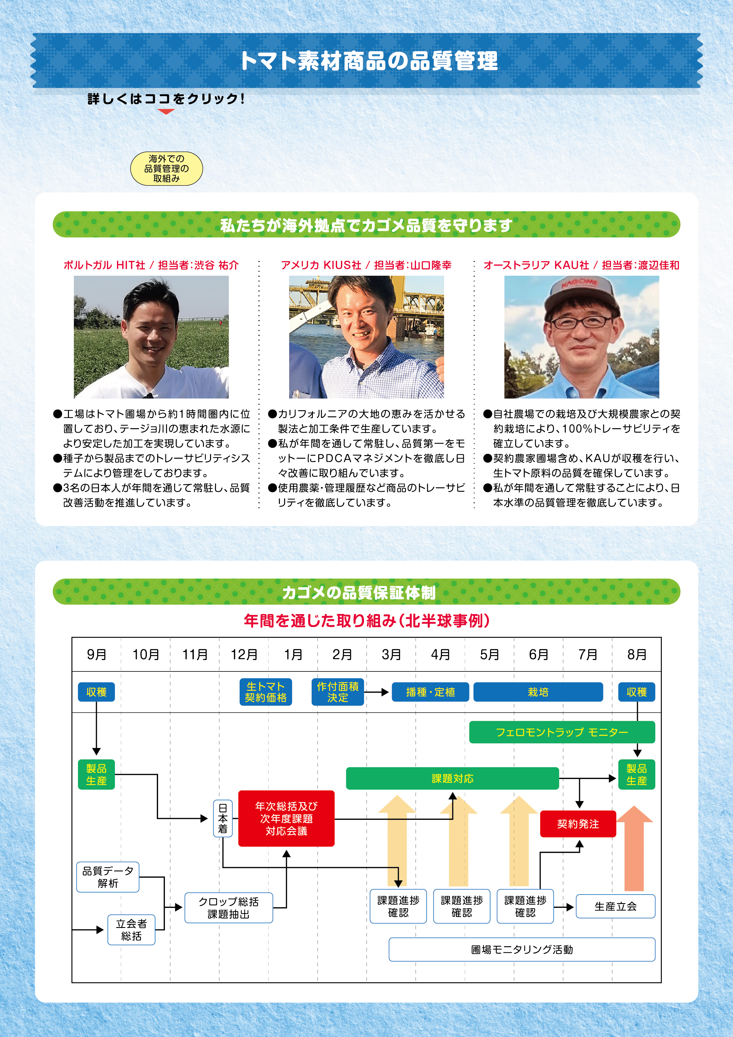 トマト素材食品