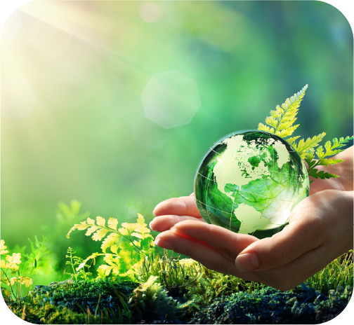 今注目の「プラントベースフード」とは？