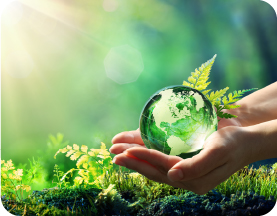 プラントベースフードに取り組みます