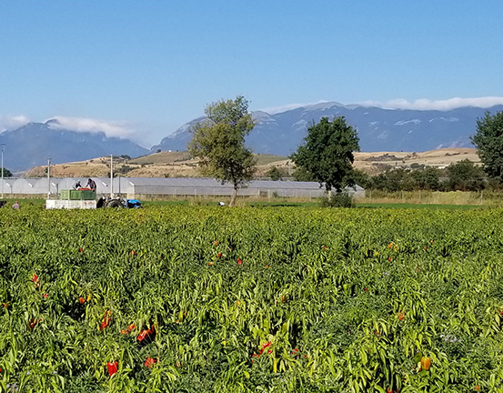 安心・安全な商品の提供