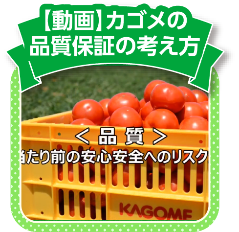 【動画】カゴメの品質保証の考え方
