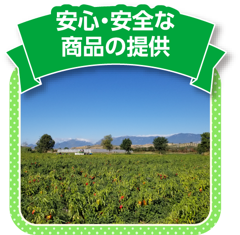 安心・安全な商品の提供