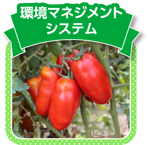 環境マネジメントシステム