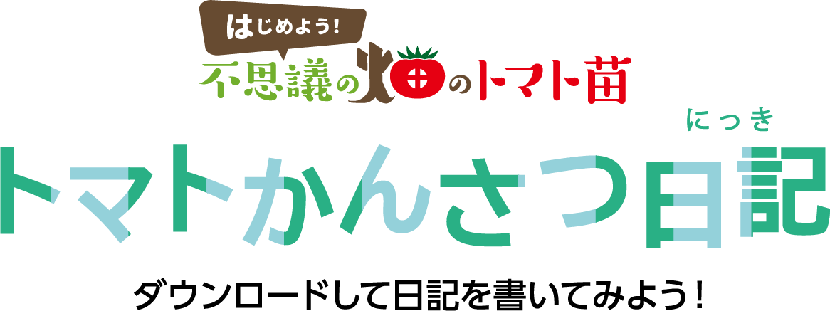 はじめよう！不思議の畑のトマト苗 トマトかんさつ日記