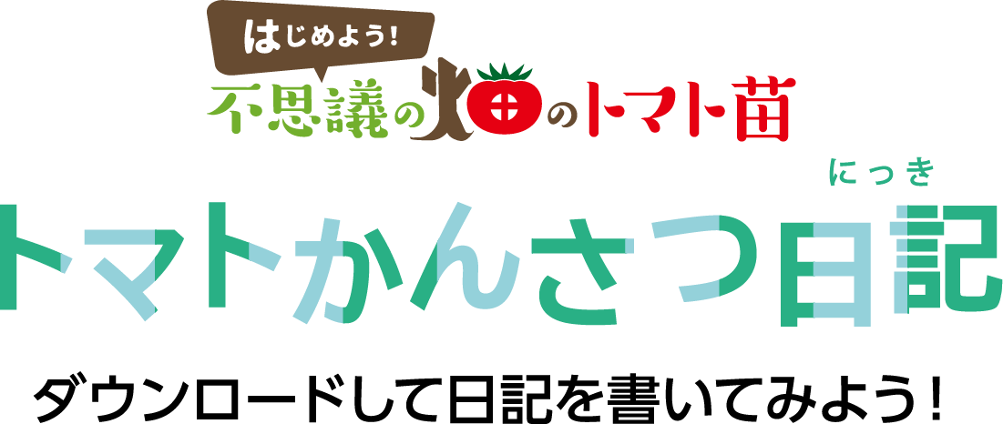 はじめよう！不思議の畑のトマト苗 トマトかんさつ日記