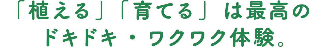「植える」「育てる」は最高のドキドキ・ワクワク体験。