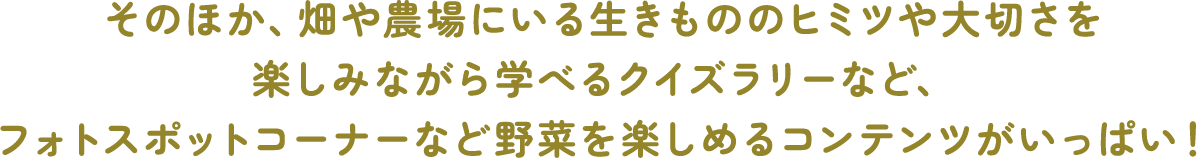 そのほか、畑や農場にいる生きもののヒミツや大切さを楽しみながら学べるクイズラリーなど、フォトスポットコーナーなど野菜を楽しめるコンテンツがいっぱい!