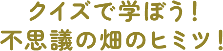 クイズで学ぼう!不思議の畑のヒミツ!