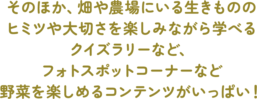 そのほか、畑や農場にいる生きもののヒミツや大切さを楽しみながら学べるクイズラリーなど、フォトスポットコーナーなど野菜を楽しめるコンテンツがいっぱい!