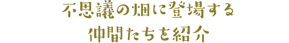 不思議の畑に登場する仲間達を紹介