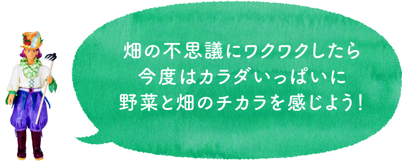 畑の不思議にワクワクしたら今度はカラダいっぱいに野菜と畑のチカラを感じよう!