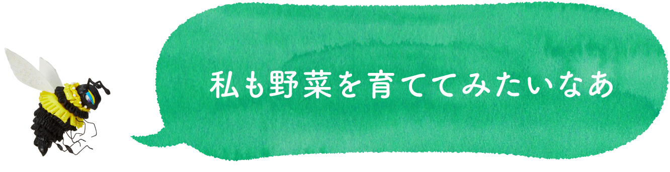私も野菜を育ててみたいなあ