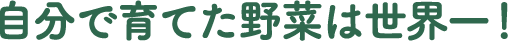 自分で育てた野菜は世界一!