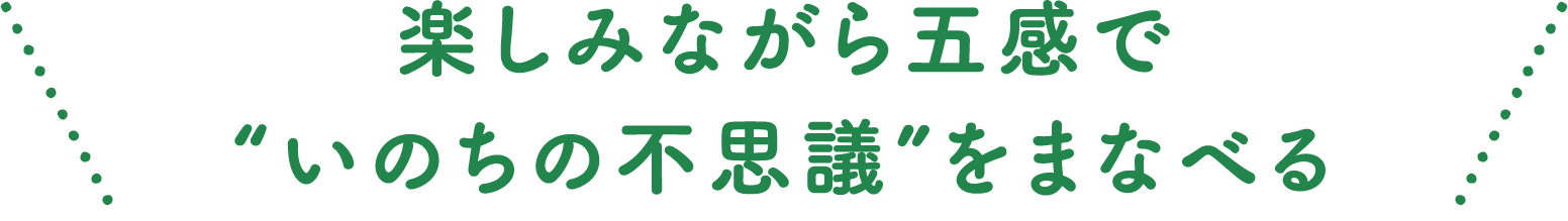楽しみながら五感で“いのちの不思議”をまなべる