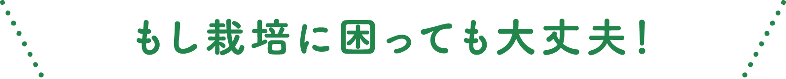 もし栽培に困っても大丈夫!