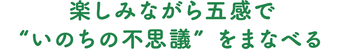 楽しみながら五感で“いのちの不思議”をまなべる