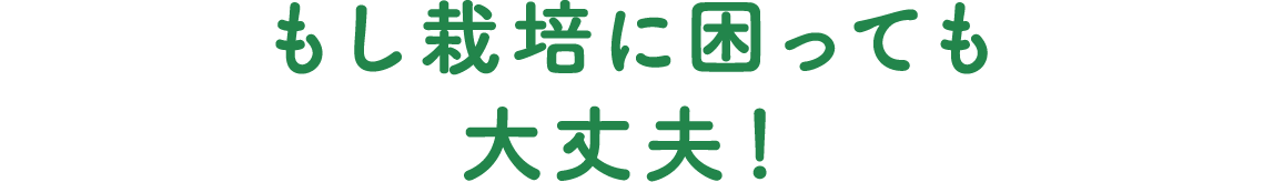 もし栽培に困っても大丈夫!