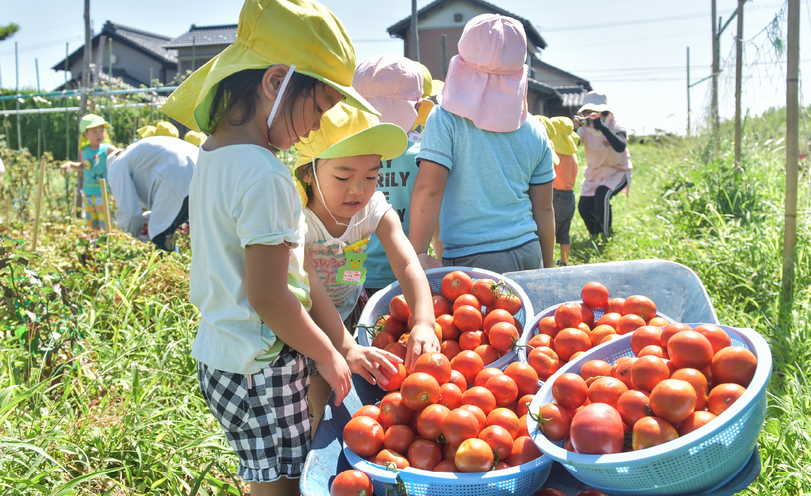 子どもたちが野菜好きになるきっかけづくり