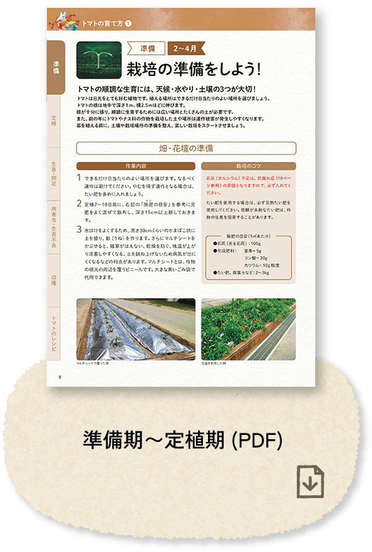 準備期〜定植期(PDF)