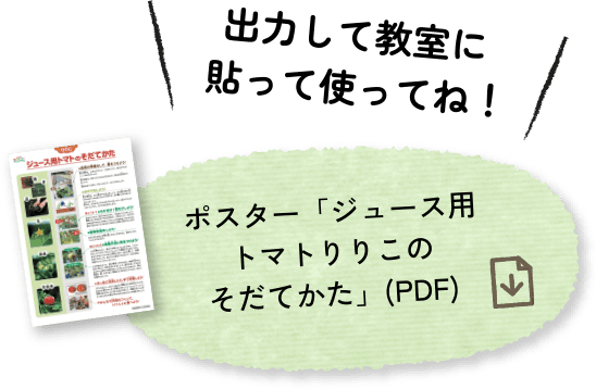 ポスター「ジュース用トマト りりこのそだてかた」(PDF)