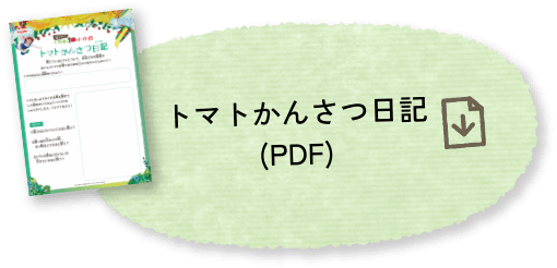 トマトかんさつ日記(PDF)