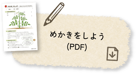 めかきをしよう(PDF)