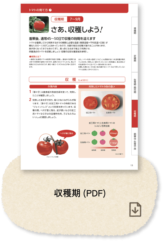 収穫期(PDF)