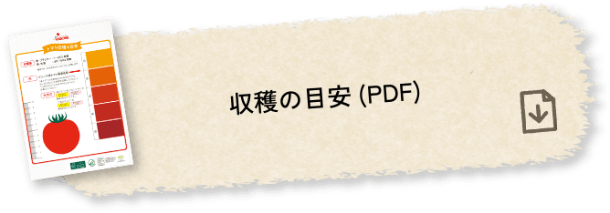 収穫の目安(PDF)