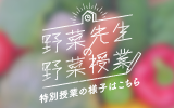 ؐ搶̖؎