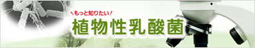 ƒm肽 A_