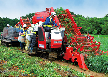 Kagome Tomato Harvester Kagome Tomato Harvester