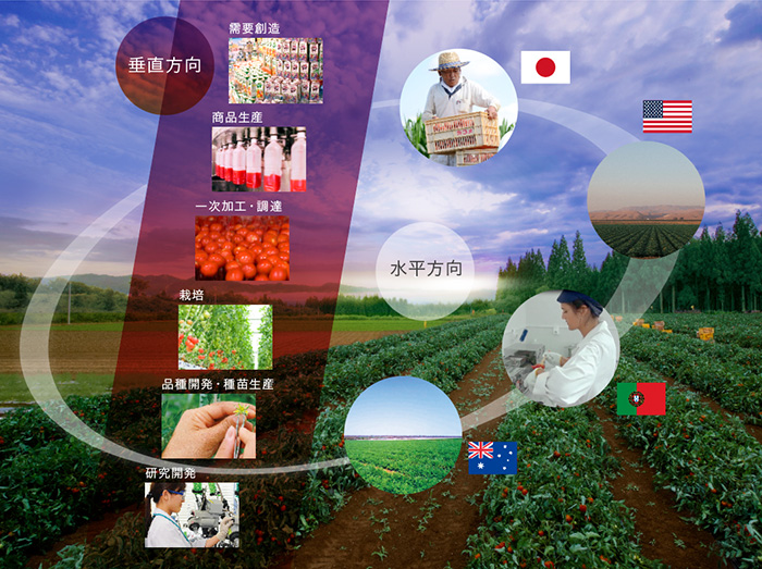 垂直統合型ビジネス 垂直統合型ビジネス