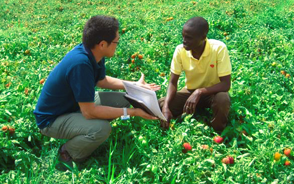 /library/company/about/info/stories/tomatosupplier/img/sp/img_01.jpg