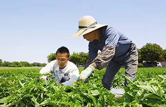 /library/company/about/info/torikumi/field/img/img_01.jpg