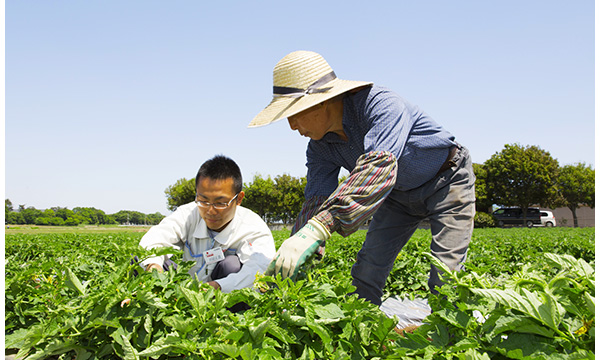 /library/company/about/info/torikumi/field/img/sp/img_01.jpg