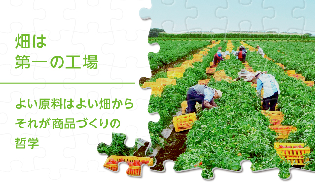 畑は第一の工場 カゴメ株式会社 畑は第一の工場 カゴメ株式会社
