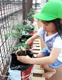 Nagokoro Nursery (Aichi Prefecture)