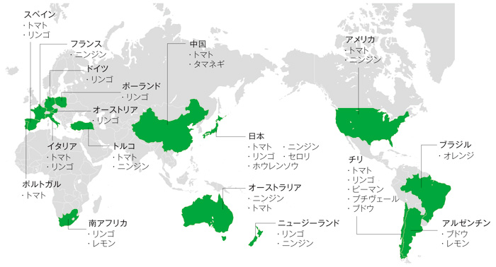 カゴメグループの原料の主な調達先 カゴメグループの原料の主な調達先