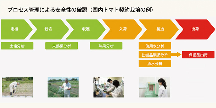 プロセス管理による安全性の確認(国内トマト契約栽培の例) プロセス管理による安全性の確認(国内トマト契約栽培の例)