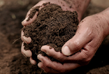 有機質肥料を多く含む畑の土
