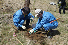入笠山での植樹活動 入笠山での植樹活動