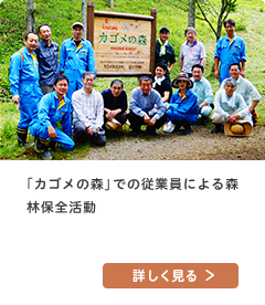 「カゴメの森」での従業員による森林保全活動
