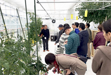 響灘菜園 響灘菜園