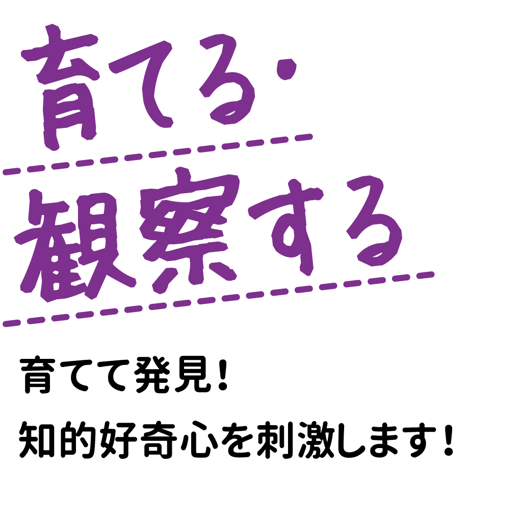 育てる・観察する