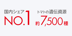 数字でみるカゴメ