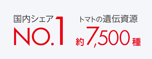 数字でみるカゴメ